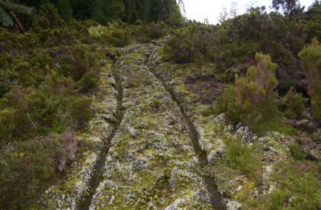 Azores Walking Guides