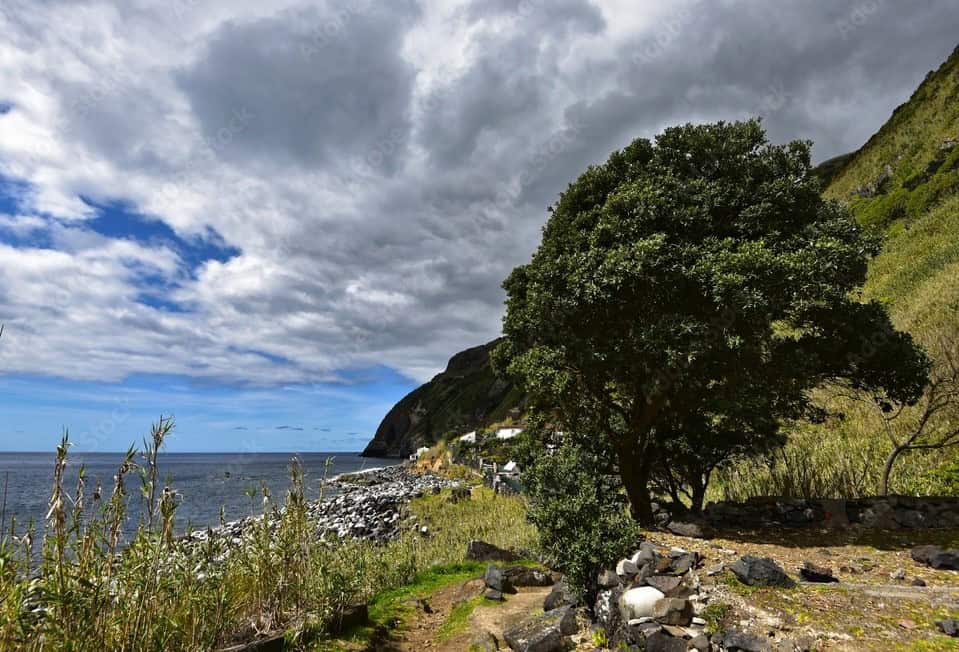 Azores walking guides 