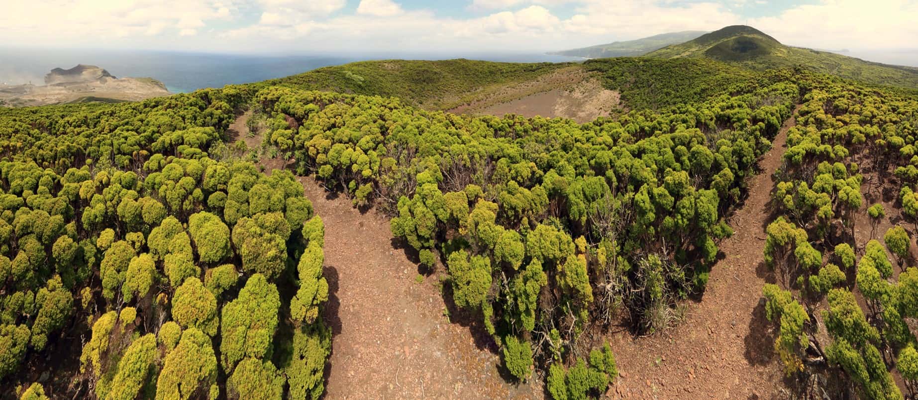 Azores walking guides 