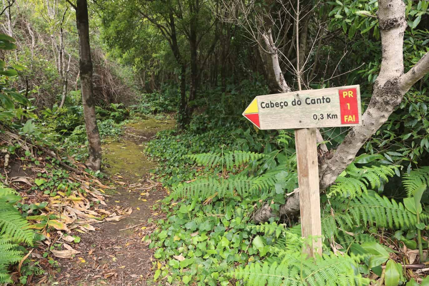 Azores walking guides 